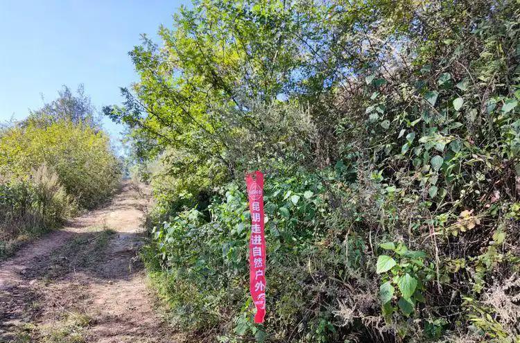 安宁温泉_安宁温泉房间带私人泡池_安宁温泉酒店