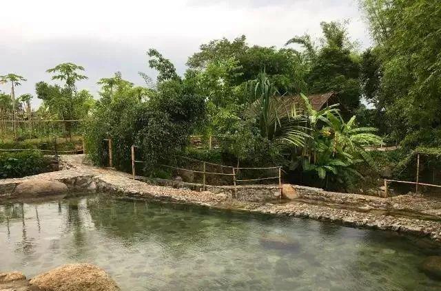 温泉凤凰温泉案件_温泉凤凰城_凤凰温泉