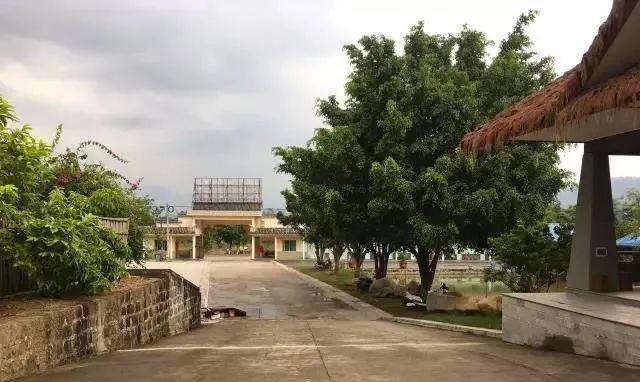 温泉凤凰温泉案件_温泉凤凰城_凤凰温泉