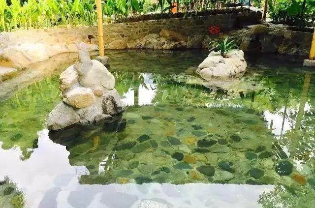 温泉凤凰温泉案件_温泉凤凰城_凤凰温泉