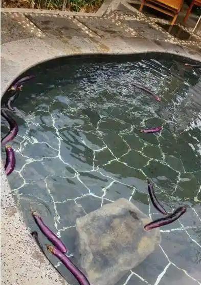 温泉度假村_温泉度假村游记_温泉度假村多少钱