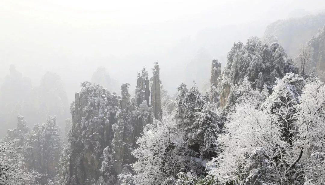 紫龙湾温泉门票价格_紫龙湾温泉度假区_紫龙湾温泉