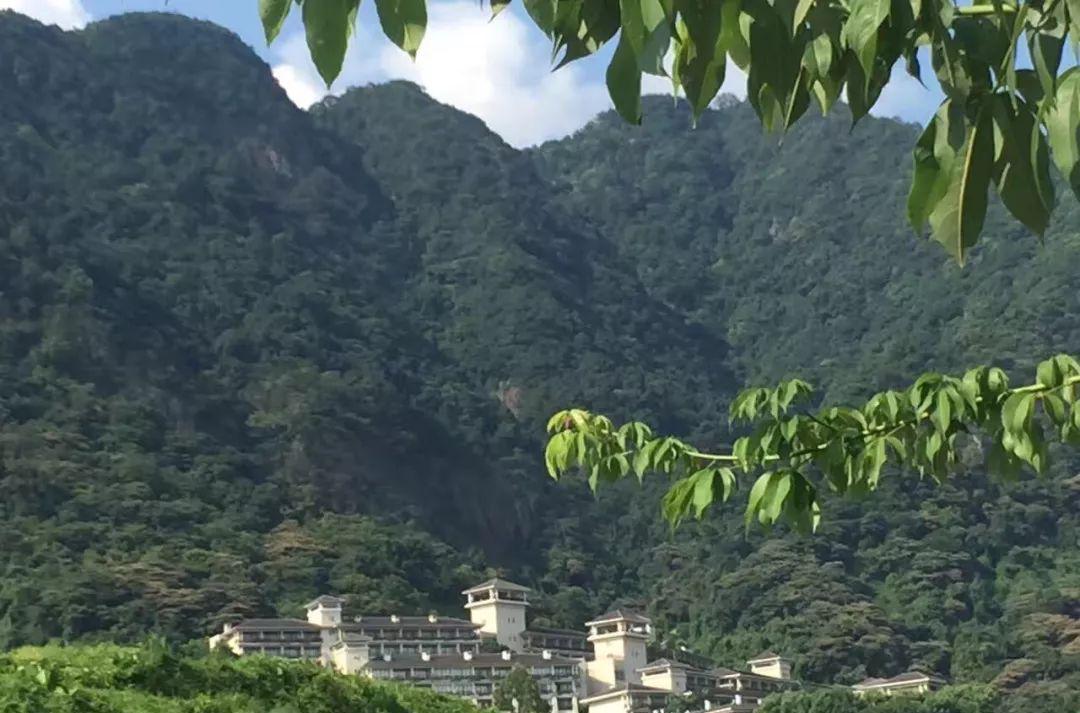 广州温泉_广州温泉哪里好_温泉广州中医药大学