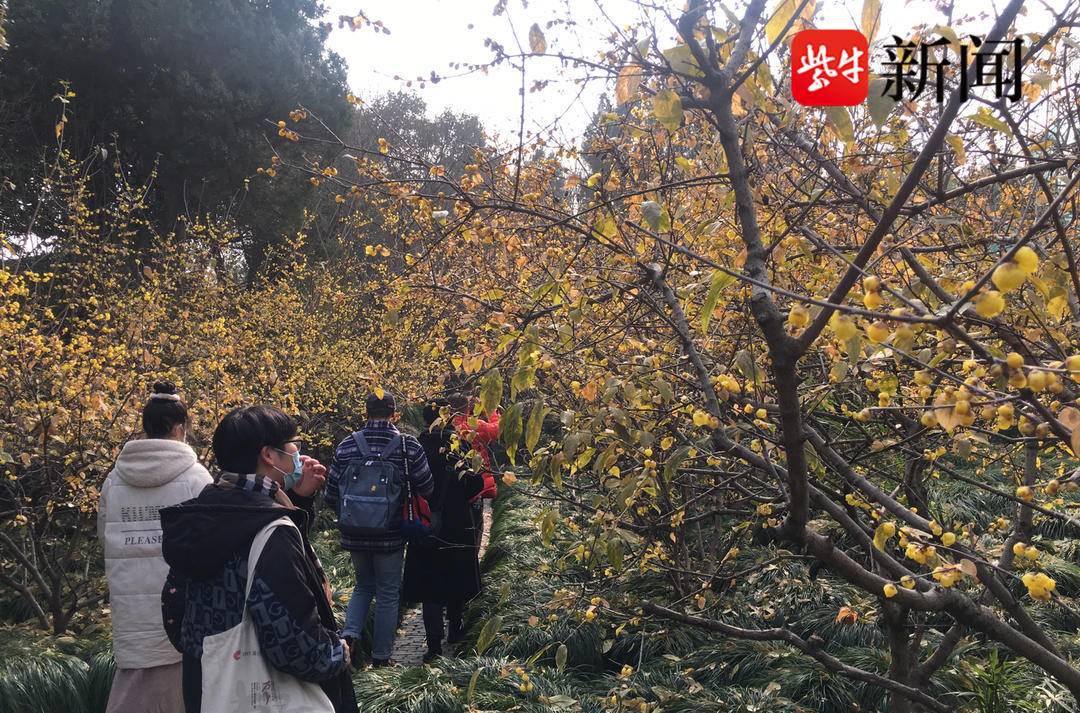 龙门石窟警察免票吗_瘦西湖温泉_隐姓什么什么成语