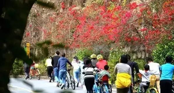 帝都温泉门票价格_帝都温泉_温泉帝都花园户型图