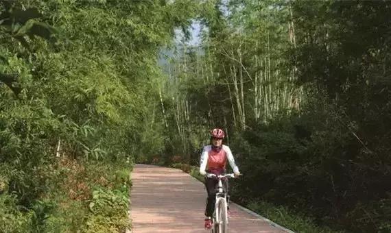 帝都温泉门票价格_帝都温泉_温泉帝都花园户型图