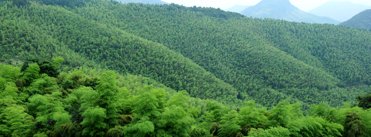 咸宁温泉谷几点开门_咸宁市温泉谷度假区怎么样_咸宁温泉谷