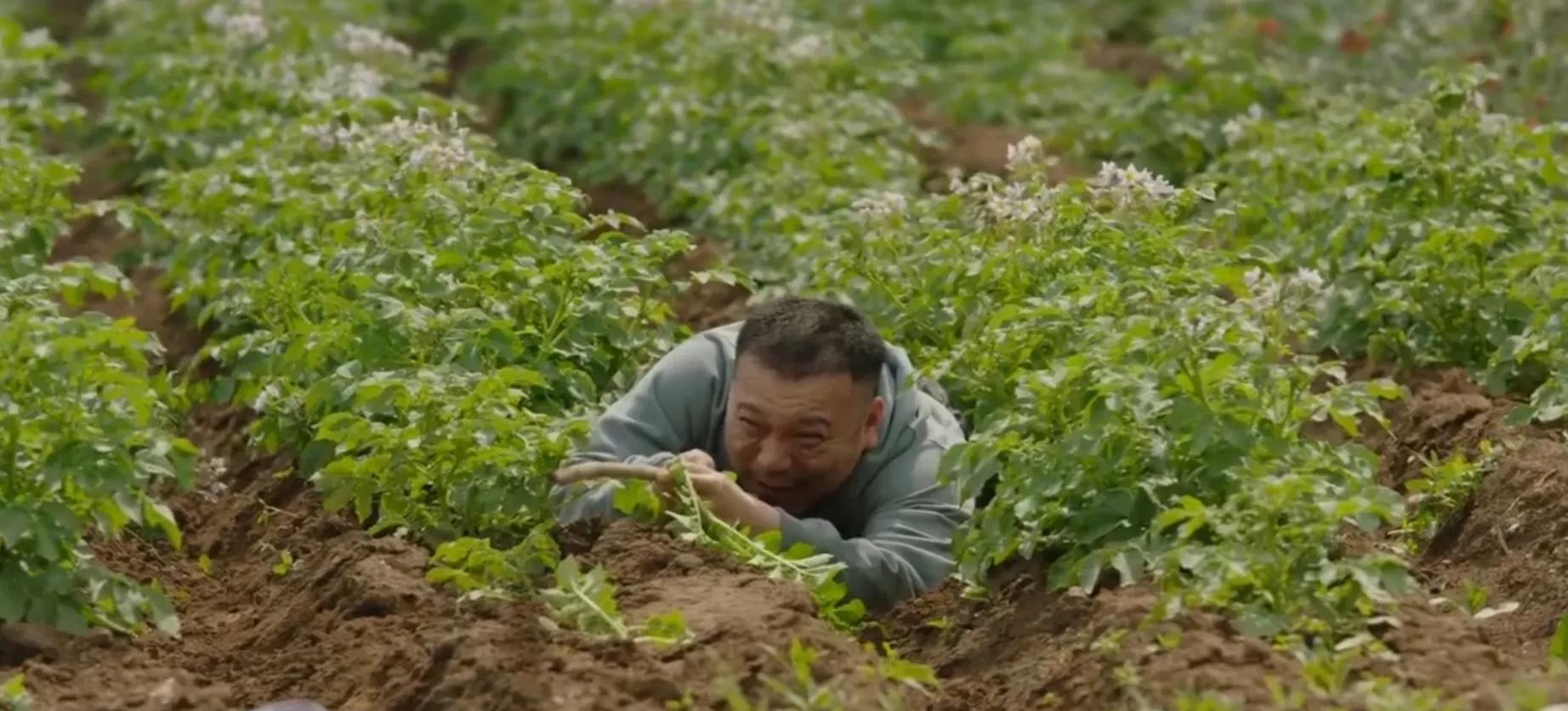 象牙山温泉是谁挖出来的_象牙山温泉_象牙山泡温泉