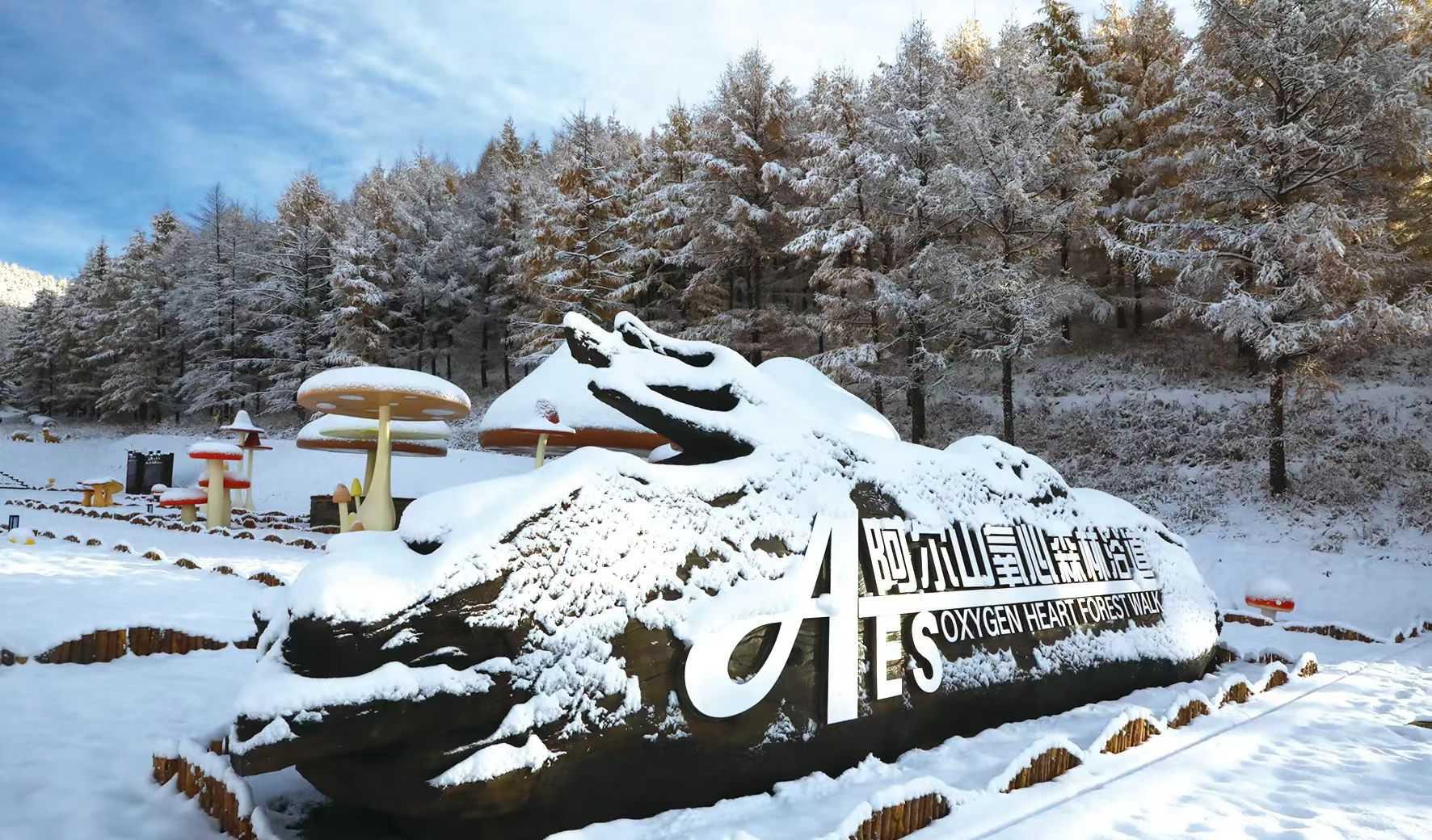 阿尔山温泉多少钱一位_阿尔山温泉_阿尔山温泉治病效果如何