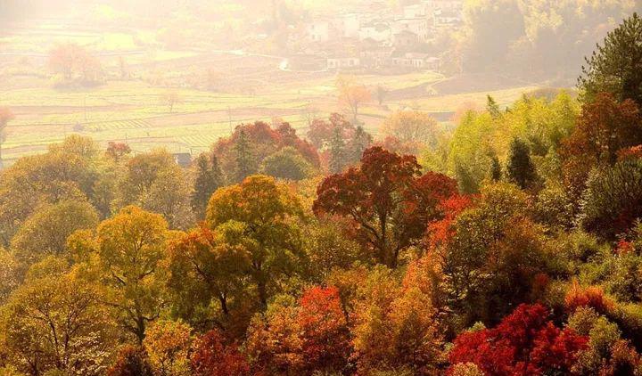 【春秋独家】船游徽州·黄山温泉·赏花·2日游