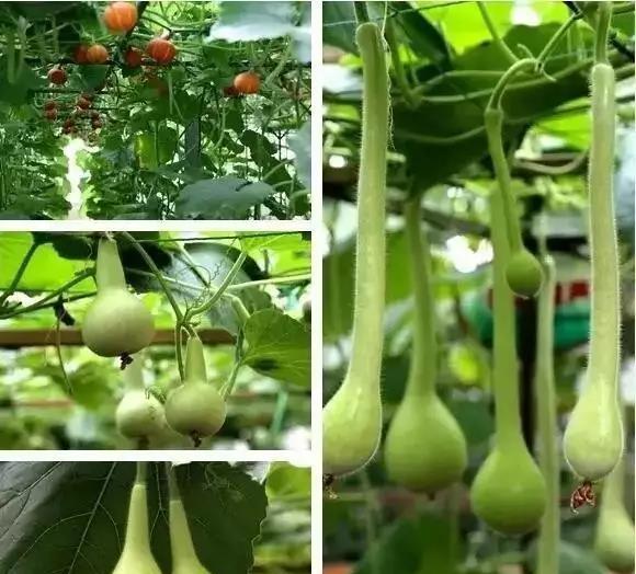 象州温泉门票价格_象州温泉游记_象州温泉