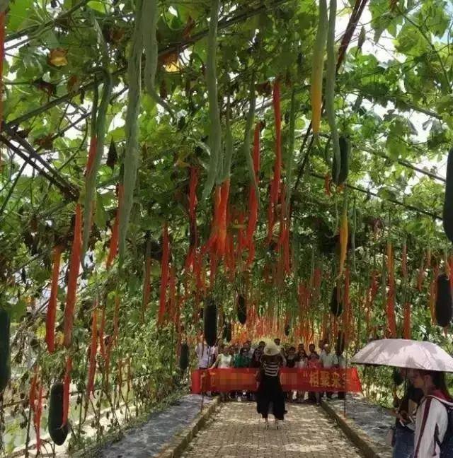 象州温泉门票价格_象州温泉游记_象州温泉