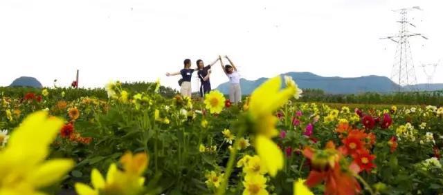 象州温泉游记_象州温泉_象州温泉门票价格