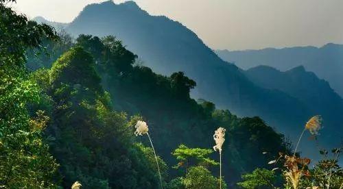 象州温泉游记_象州温泉门票价格_象州温泉